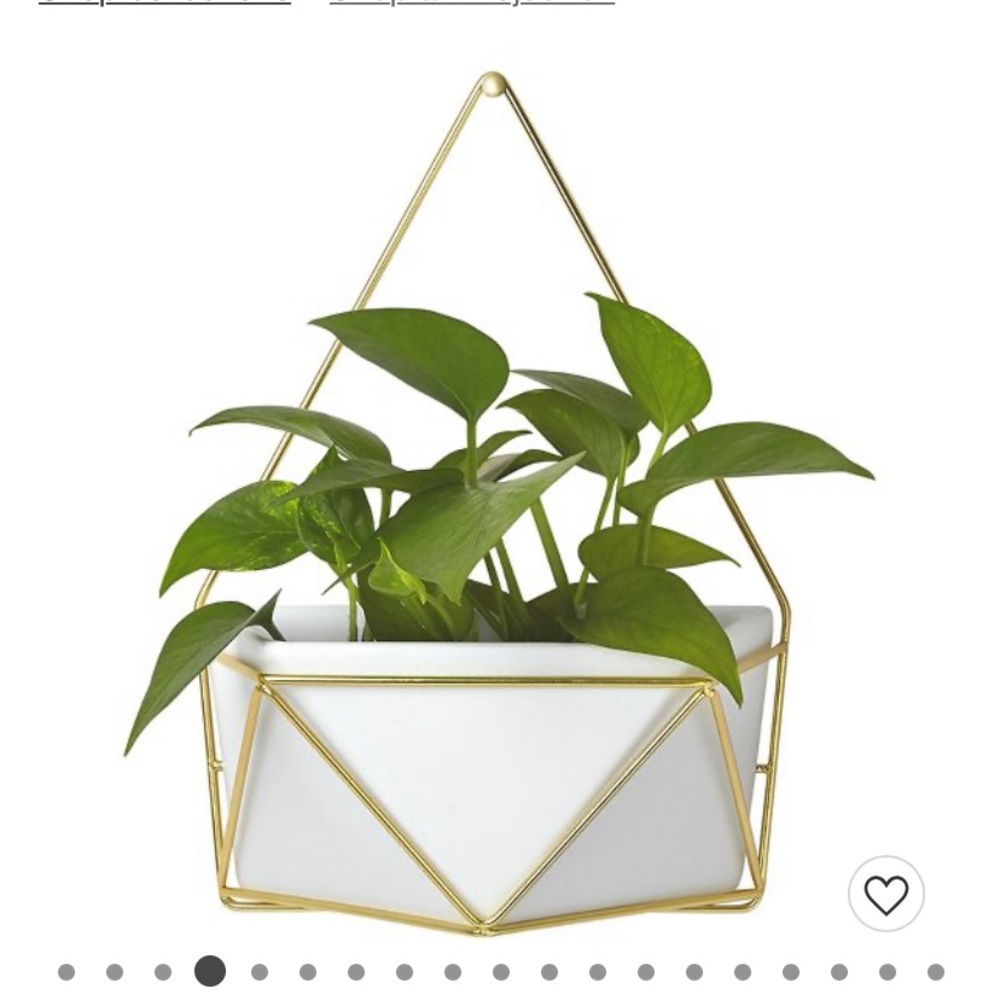 Succulent Wall Geometric Hanging - Picture 5 of 5